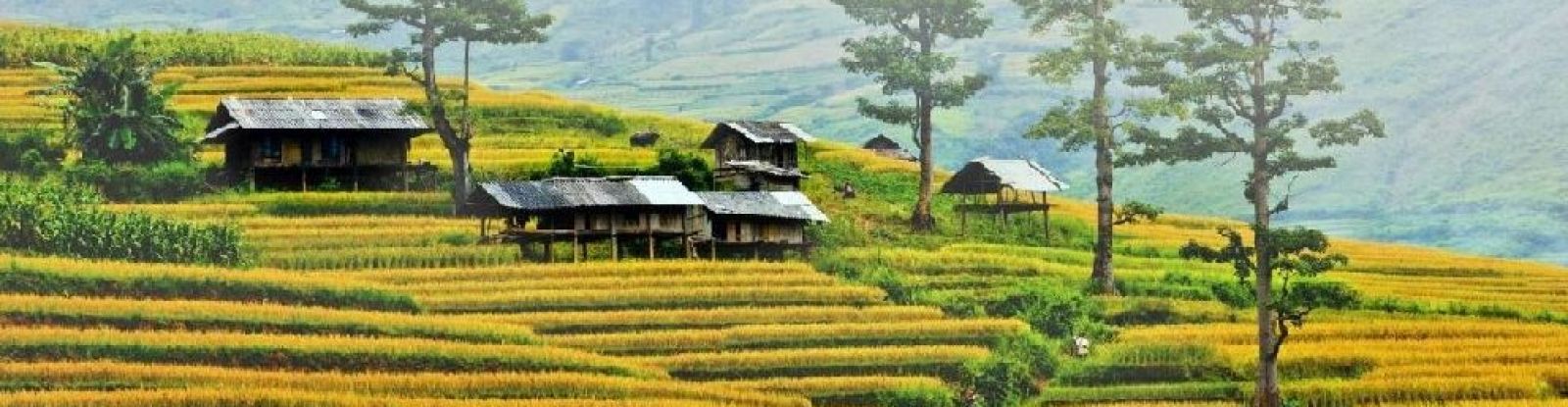 Destinations in Mu Cang Chai - Tu Le - Yen Bai