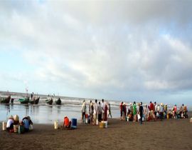 Seafood market in the morning