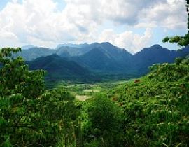 Trekking Bach Ma National Park