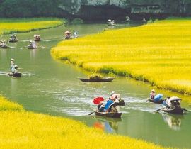 Take a boat trip in Ninh Binh