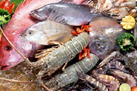 Tips for safe dining of seafood in Halong