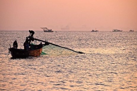 Fishing along with fisherman