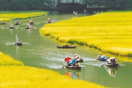 Take a boat trip in Ninh Binh