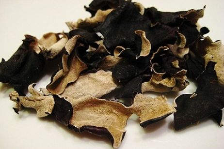 Chinese Black Mushroom