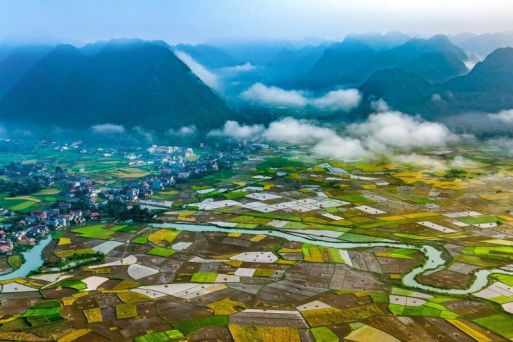 Bac Son valley attractive to tourists in rice harvest season