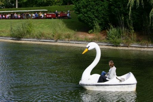 Peddle Boat the West Lake like a … swan?