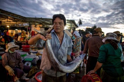 Hoi An Central Market