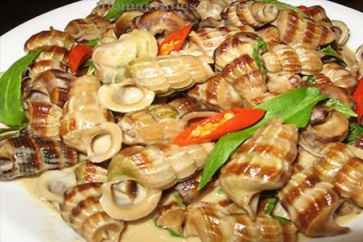 Halong Snails