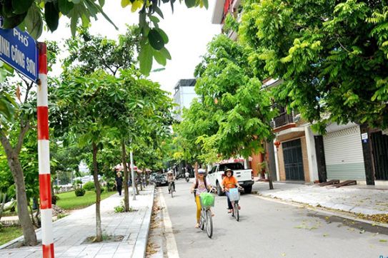 Ha Noi to open Trinh Cong Son pedestrian street