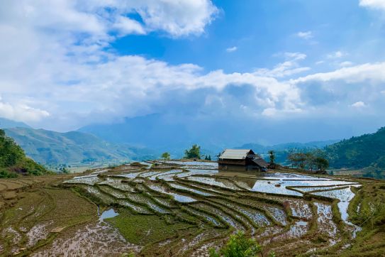 Surf the clouds on Bach Moc Luong Tu mountain peak