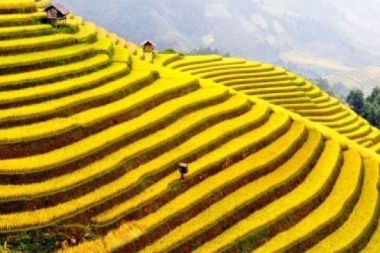 Vietnam to promote northern mountains in 2017
