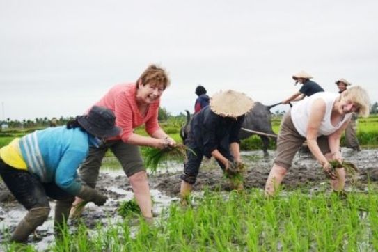 Viet Nam’s agritourism aims to tap massive potential