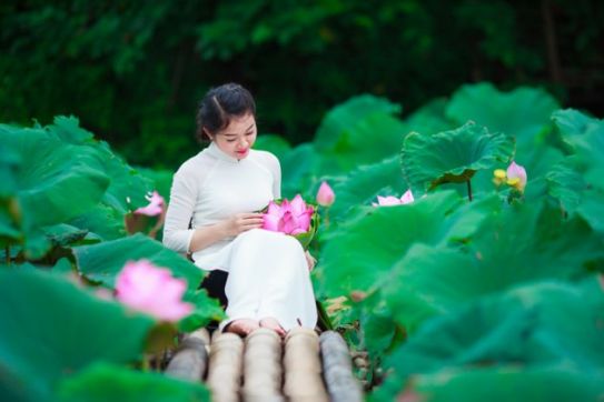 Hanoi lotus ponds filled with selfie-lovers as summer comes