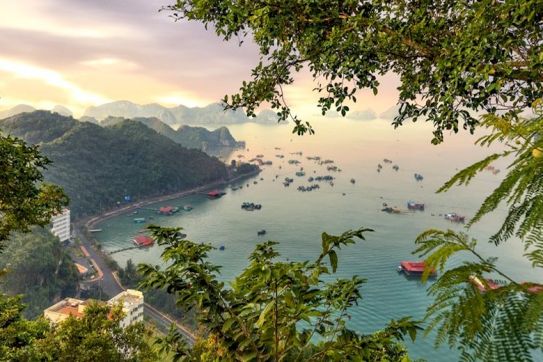 Leonardo DiCaprio considers Vietnam's Lan Ha Bay a “paradise