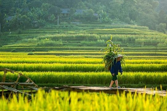 Pu Luong – A majestic place for summer getaway in northern Vietnam