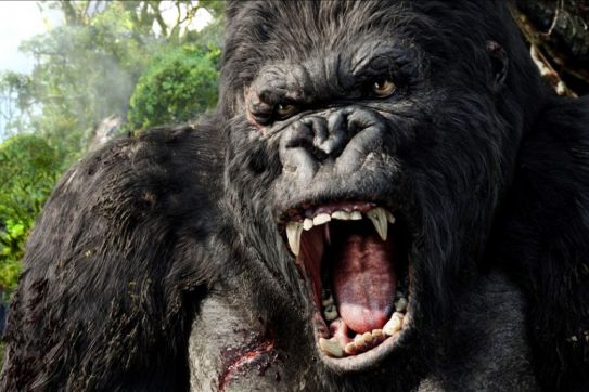Filming of King Kong movie in Vietnam to start Feb 18