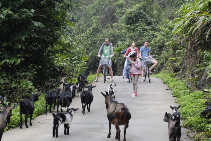 Catba biking tour