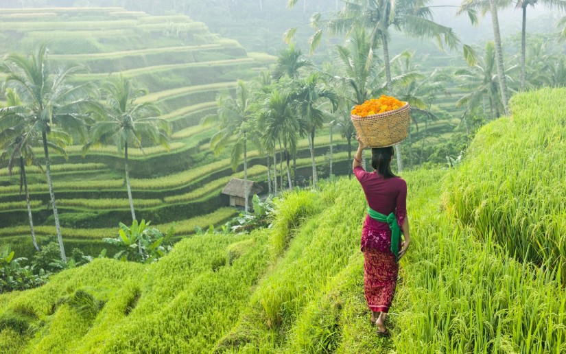 Bali Indonesia Ubud