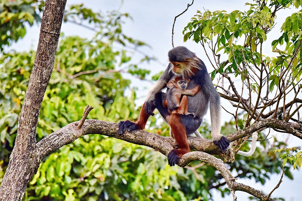 15 travel ideas to explore Vietnam’s hidden gems 2