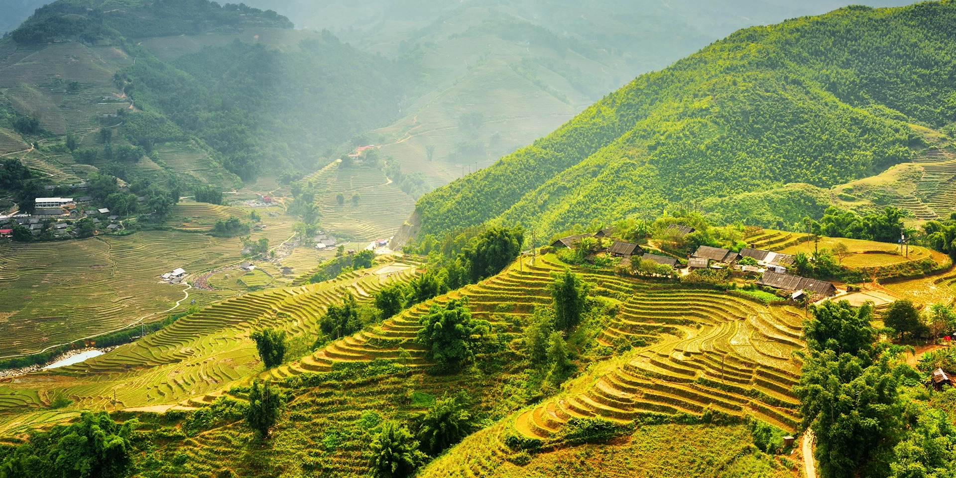 Cat Ba ranks first among Google’s 2020 top searches for tourist destinations in Vietnam pic 3