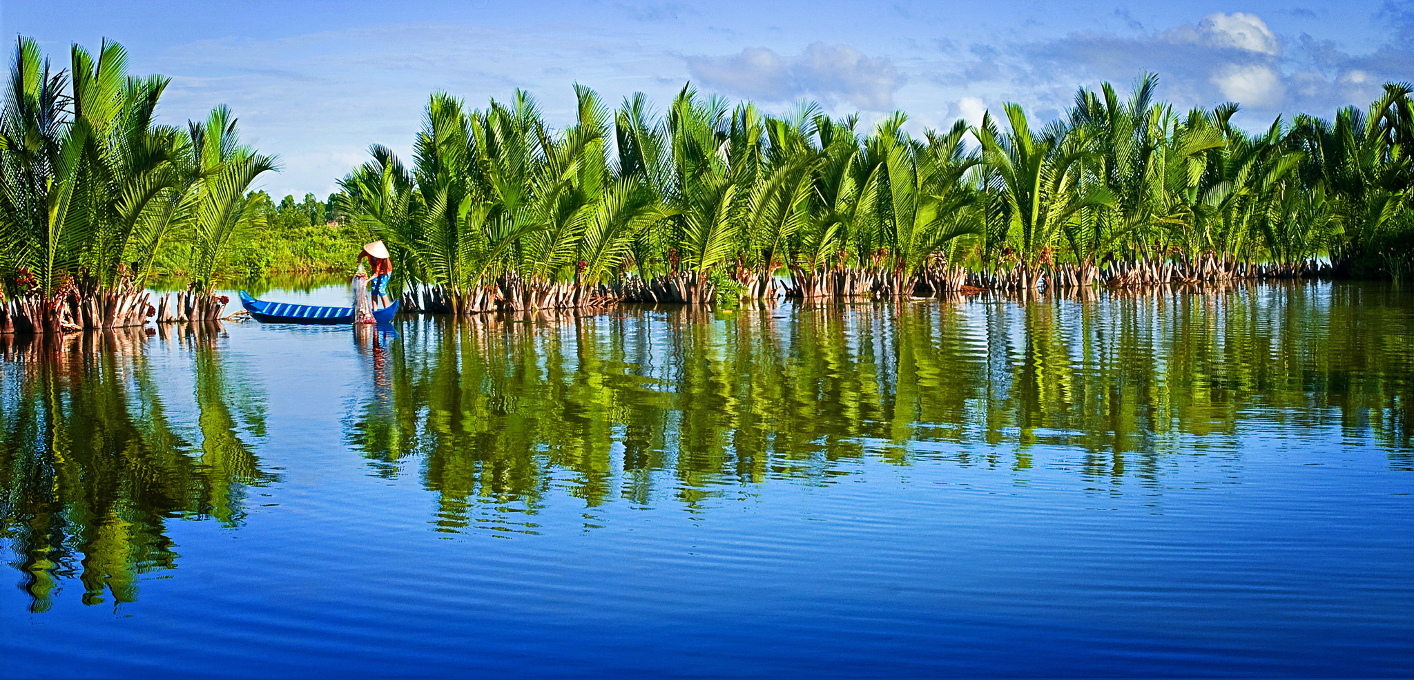 Chưa có hình ảnh