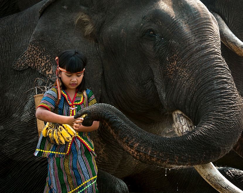 Award winning photographs present Vietnam's charm picture 6