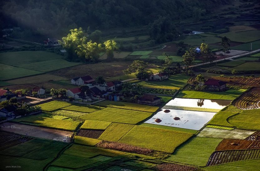 Bac Son valley attractive to tourists in rice harvest season 4