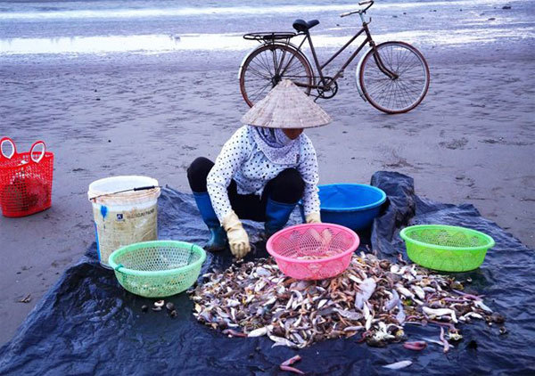 Seafood market in the morning picture 3