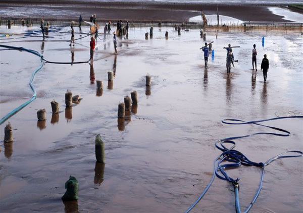 Seafood market in the morning picture 4