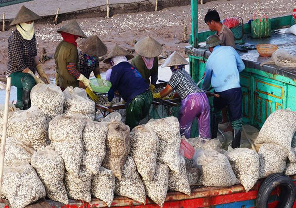 Seafood market in the morning picture 5