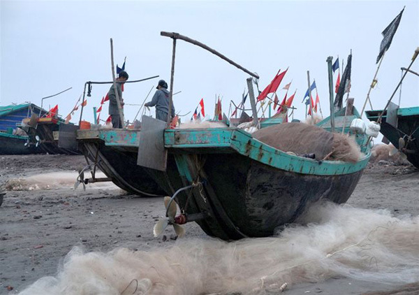 Seafood market in the morning picture 6